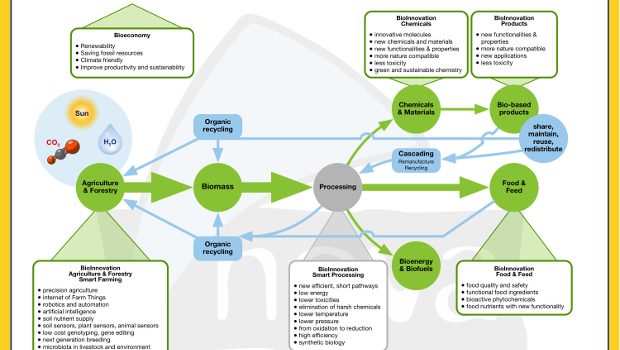 Bioeconomy: more than circular economy graph.